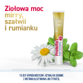 3x Protefix® Krem mocujący PREMIUM MOCOWANIE, 3x47 g ZESTAW